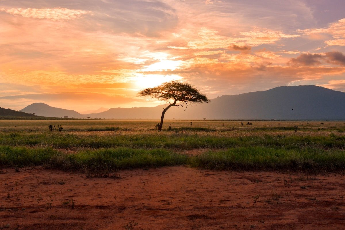 Kenya - Nairobi skyline